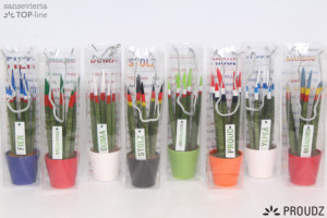 Sansevieria 8,5 cm Proudz in bag mix